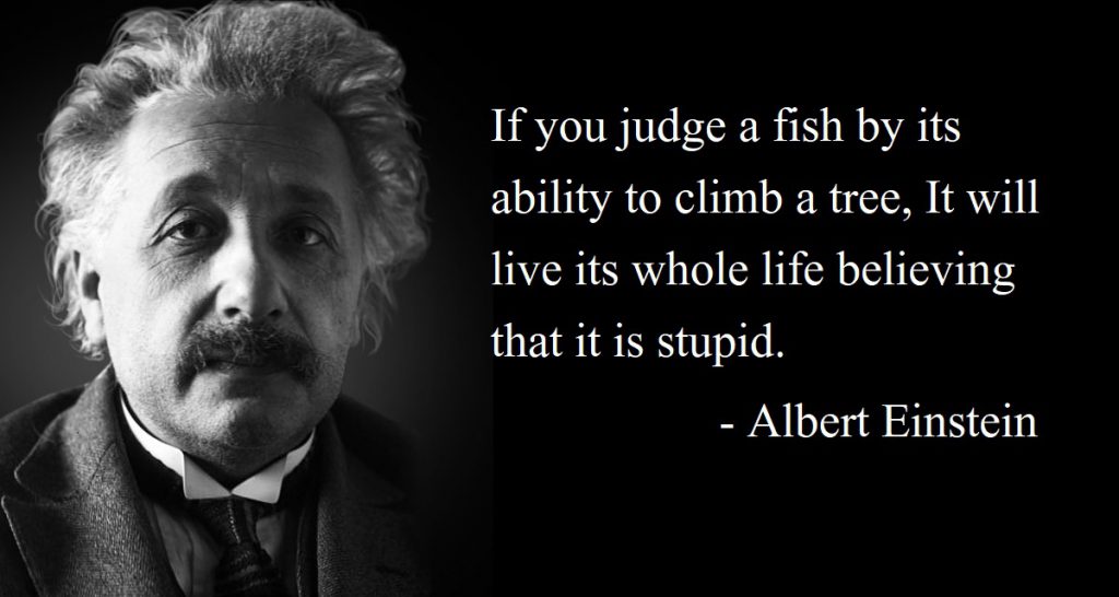 Albert Einstein's Quote